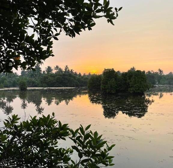 Семейный Номер, Waters Edge