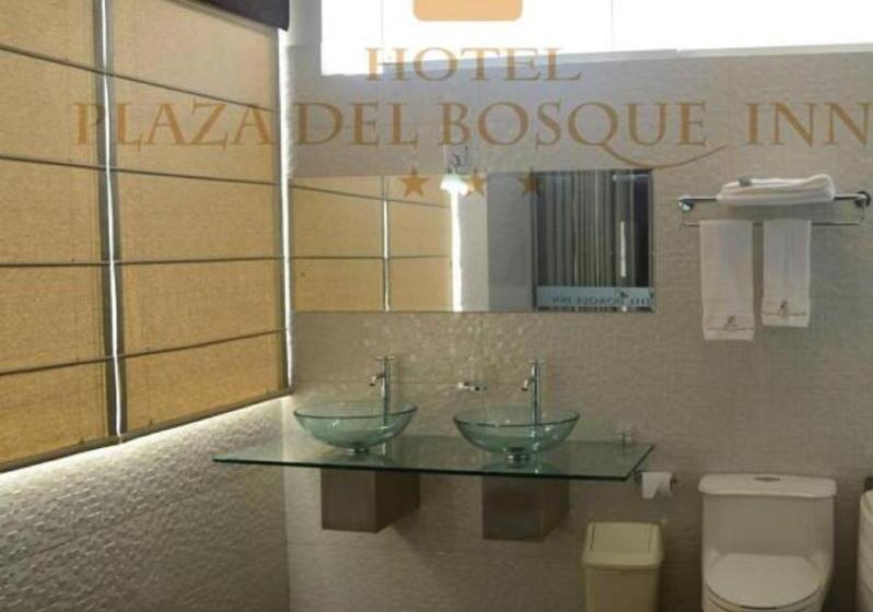 스탠다드 스튜디오, Plaza Del Bosque Inn