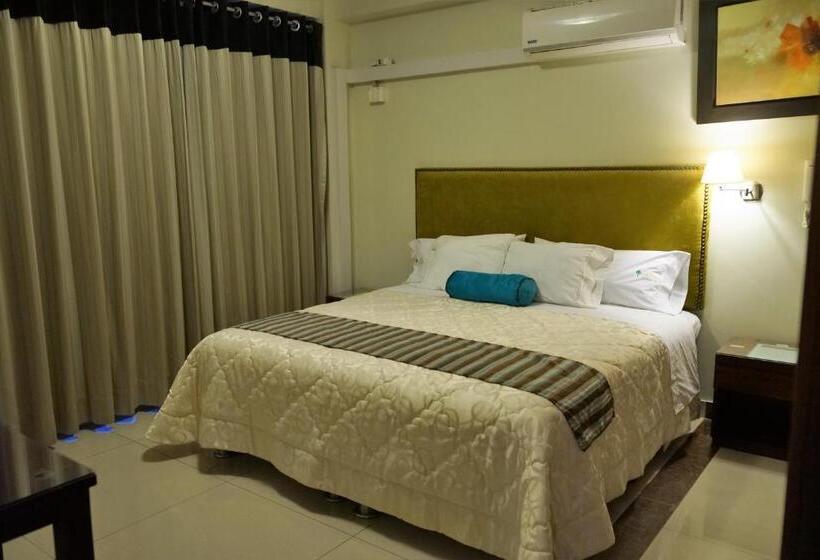 스탠다드 룸 킹사이즈 침대, Plaza Del Bosque Inn