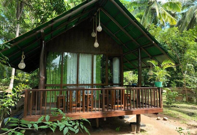 اتاق استاندارد چهار تخته, Coconut Tree House