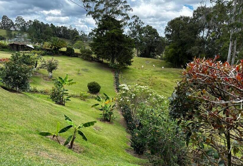 标准间带山景, Avatar Mountain Retreat