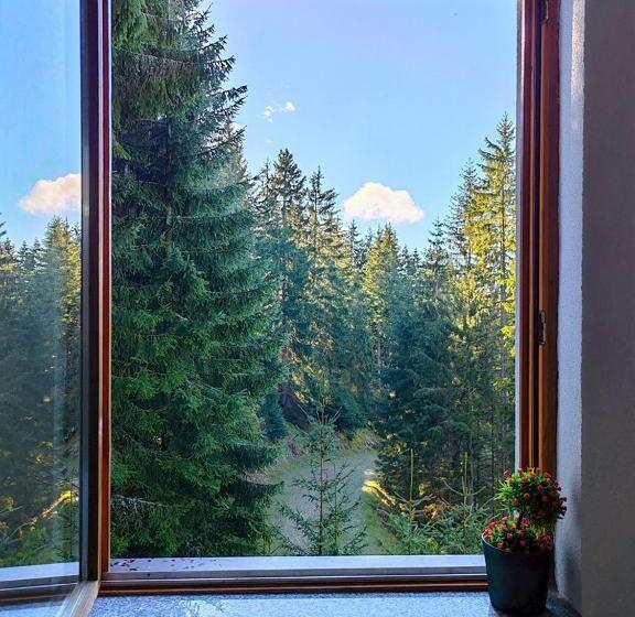 آپارتمان 1 خوابه با بالکن, Apartments Planinski Raj