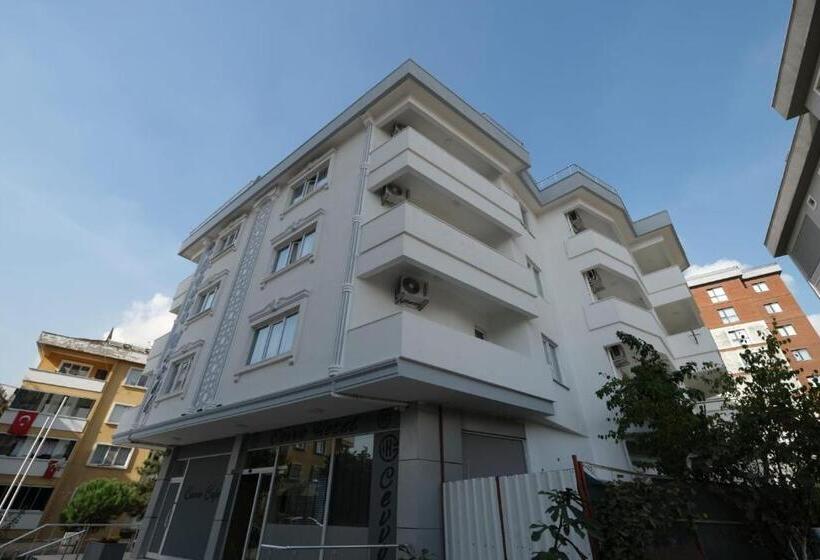 家庭间, Cevvo
