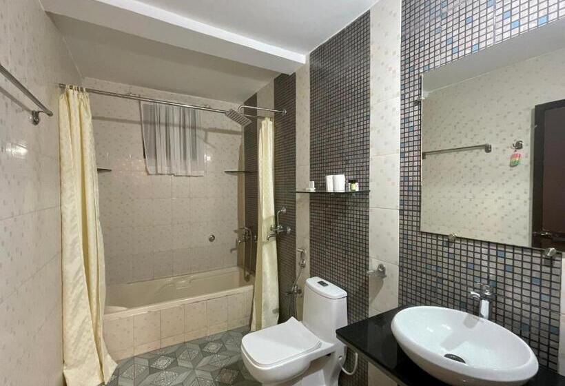 디럭스 룸, Nagas Hotel Satyavati Morjim