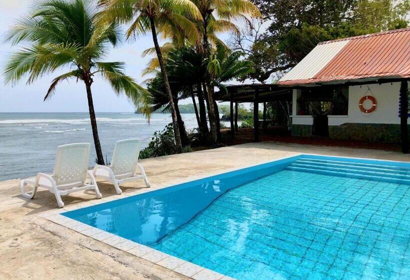 Люкс Вид на Бассейн, Oceanfront Bungalows   Paradise Rentals