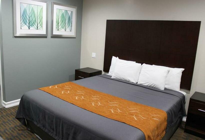 스탠다드 룸 킹사이즈 침대, Friendly Hills Inn