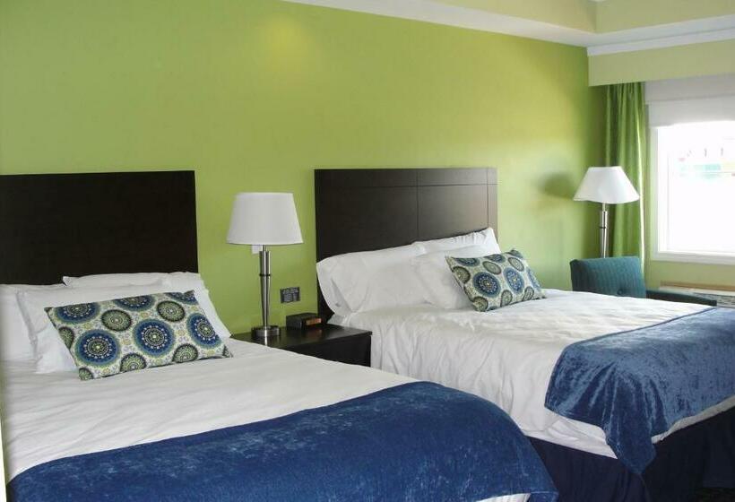 스탠다드 룸, Starlight Inn