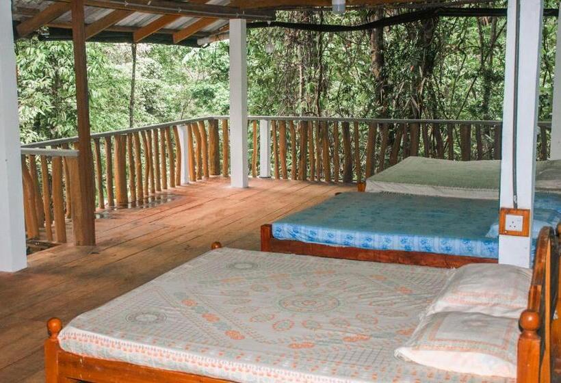 Семейный Номер, Rock Pool Eco Lodge