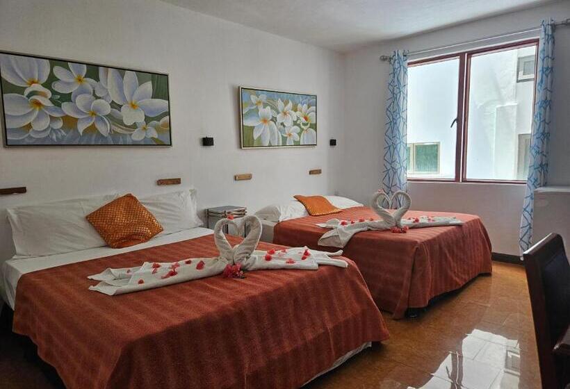 اتاق خانوادگی, Grand Bay Apartments