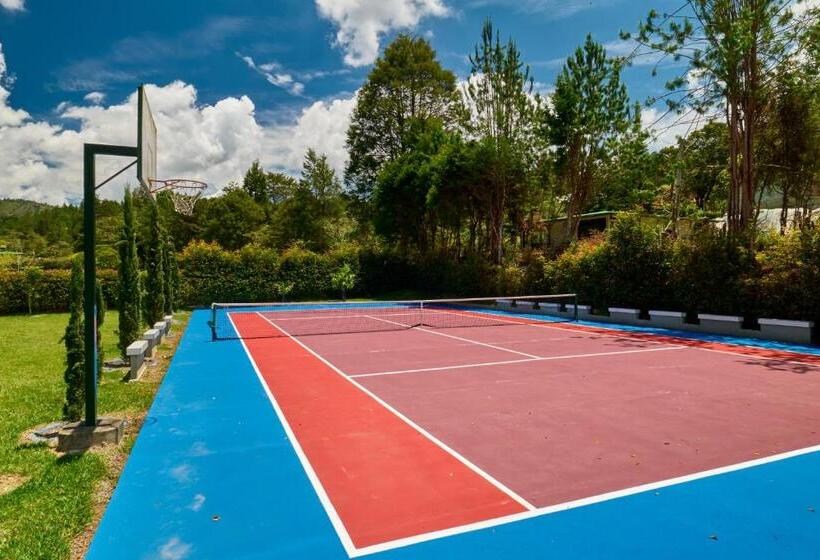 디럭스 스위트, Casa Hotel Fiba Magueza