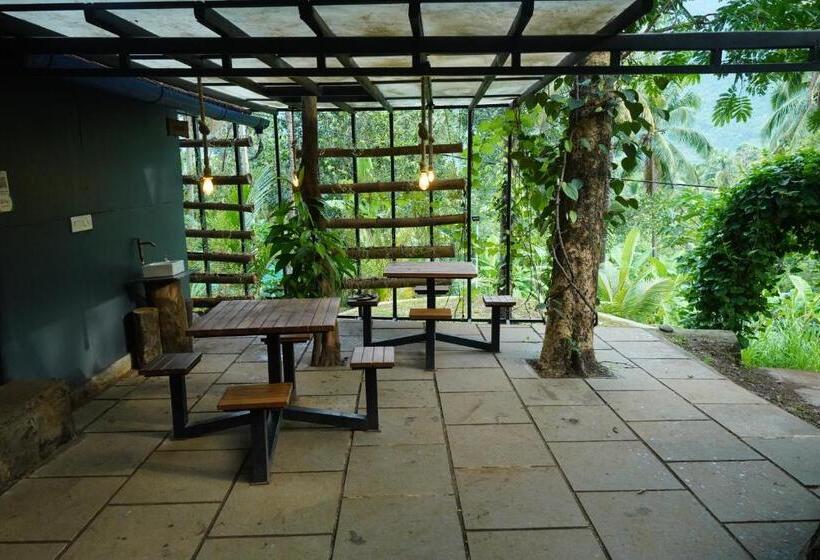 Шале 1 Спальня, The Tree Organic Farm And Stay   Non Alcoholic Property