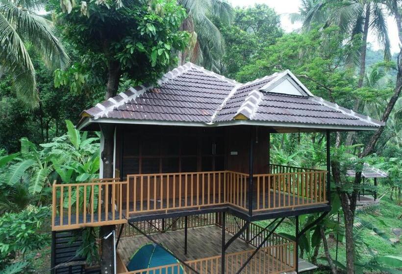 Шале 1 Спальня, The Tree Organic Farm And Stay   Non Alcoholic Property