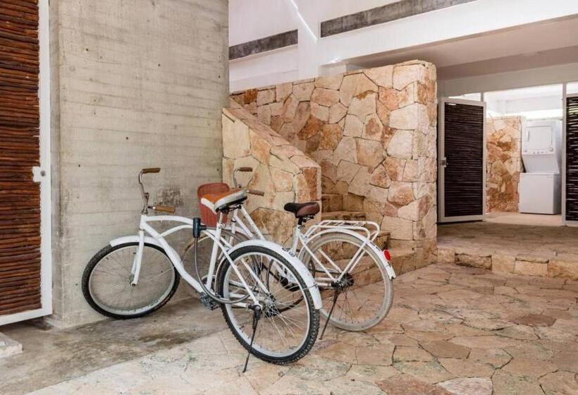 デラックススイート, Casa De Piedra Tulum