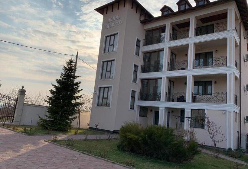 Habitació Estàndard, Pension Hanul Andritei
