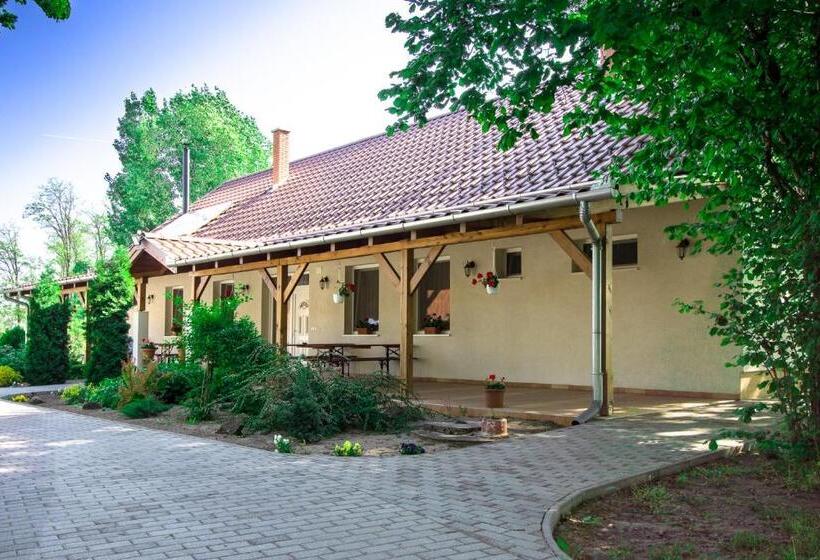 Апартаменты 1 Спальня, Tölgyfa Vendégház