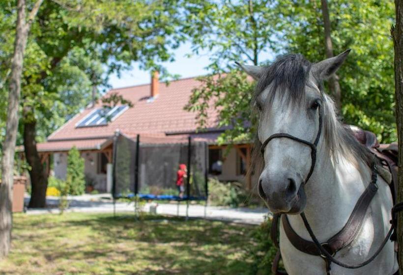 Апартаменты 1 Спальня Вид на Сад, Tölgyfa Vendégház