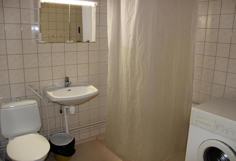 Студия Стандарт, Summer Hotel Tähtelä, Alkio Opisto