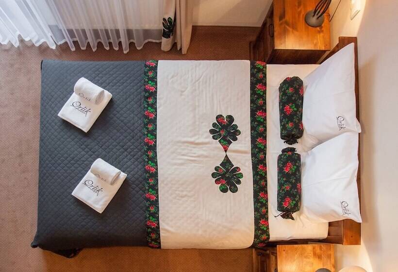 スタンダードルーム, Pensjonat Orlik Mountain Resort&spa