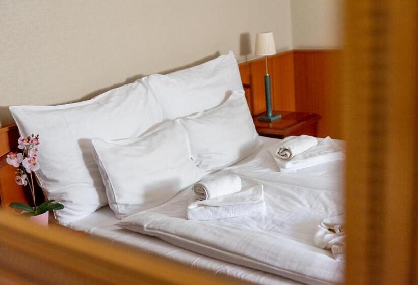 标准间, Nyerges Hotel Termál Superior