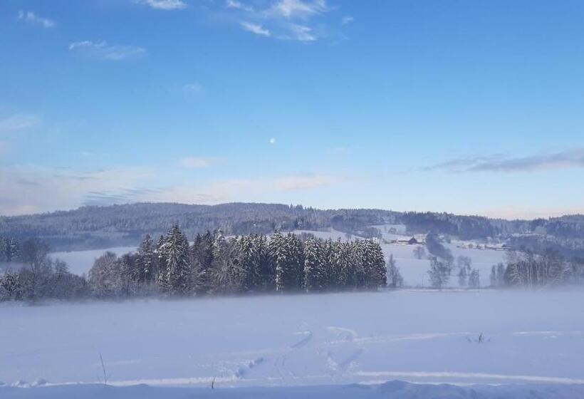 Номер Стандарт, Zum Bergbauern