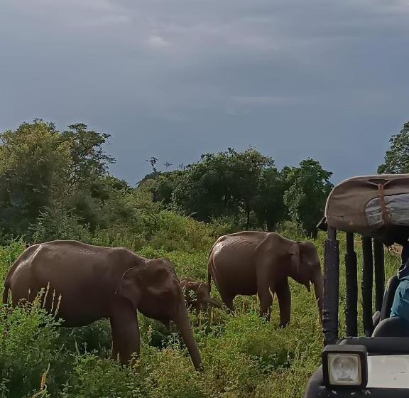 Номер Deluxe, Pam Land Eco Safari Resort