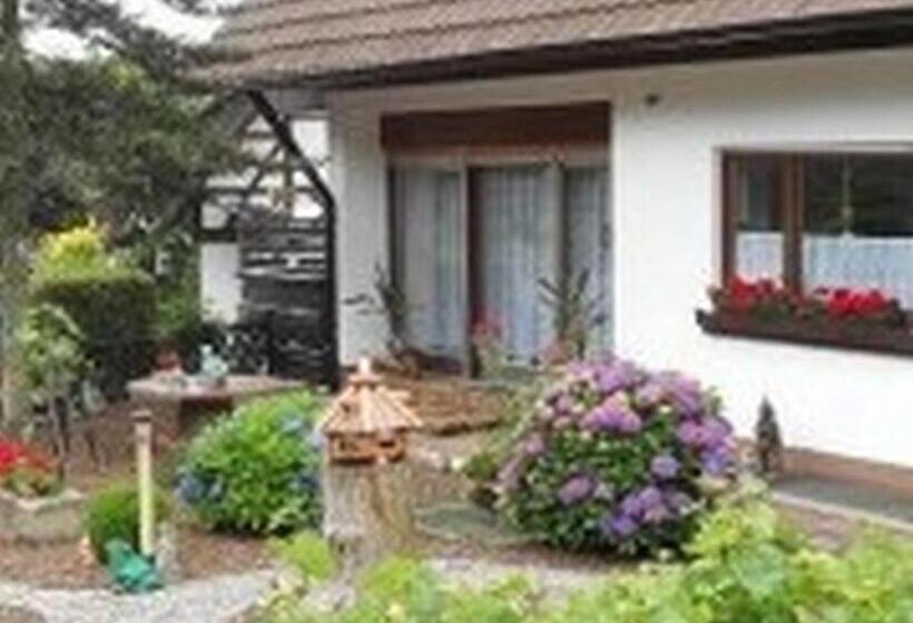 스탠다드 싱글 룸, Pension Haus Monika