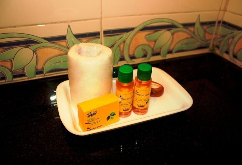 اتاق لوکس, Fabhotel Uday Villa