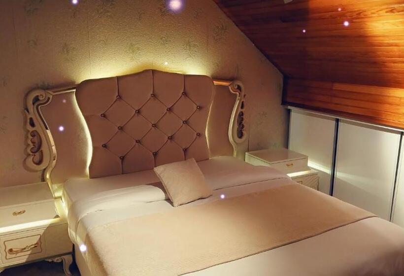 Номер Deluxe, Paradis Chambres D Hôtes Proche Paris   Aéroport Charles De Gaulle Airport   Parc Des Exposition Vil