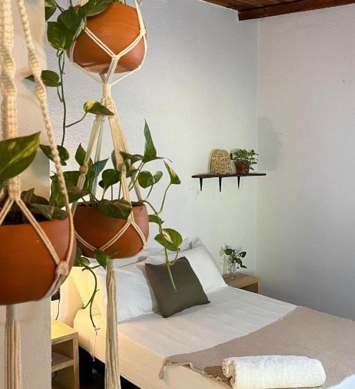 Номер Стандарт, Casa Niita