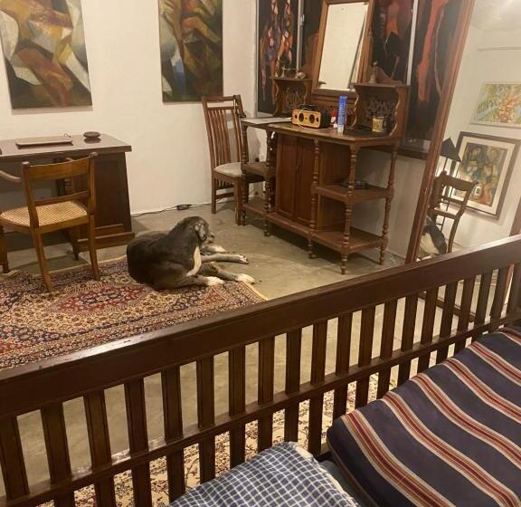 标准间, Segar Art Gallery