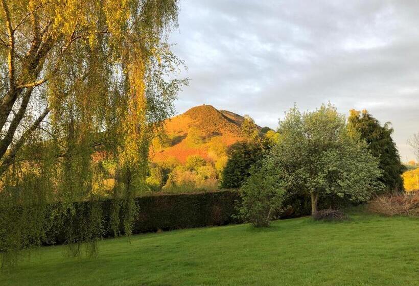 Номер Стандарт с Террасой, Offa S Dyke Lodge B&b