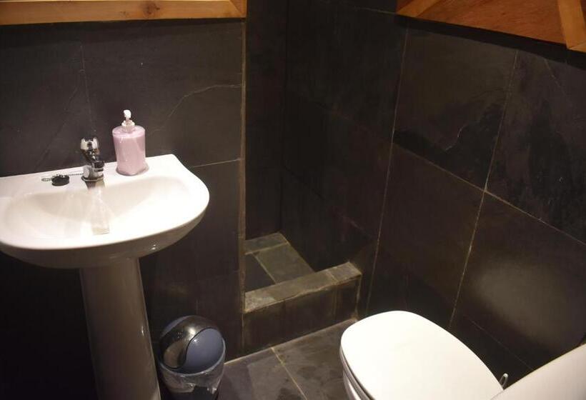스탠다드 싱글 룸, Estación Hostel