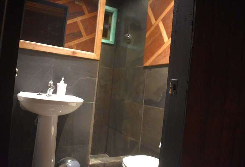 이코노미 싱글 룸, Estación Hostel