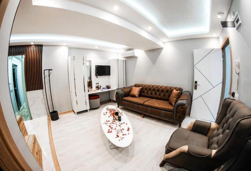 带1个卧室的顶楼公寓, Stay Suite