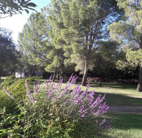 Апартаменты 1 Спальня Вид на Бассейн, El Campo Departamentos