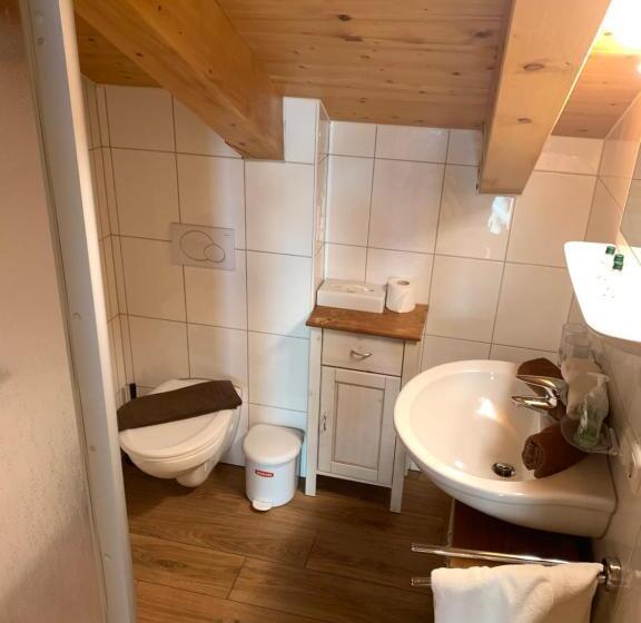 Апартаменты Пентхаус 1 Спальня, Chalet Elfriede