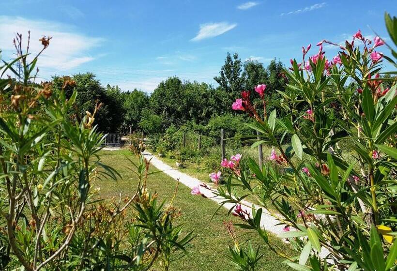 آپارتمان 1 خوابه, Kincsesbánya