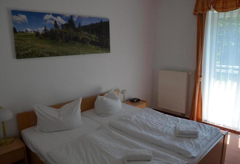 Номер Стандарт, Haus Oberland