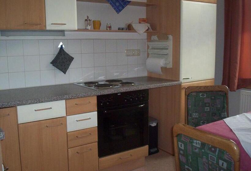 Апартаменты 1 Спальня, Pension Florian Am Park