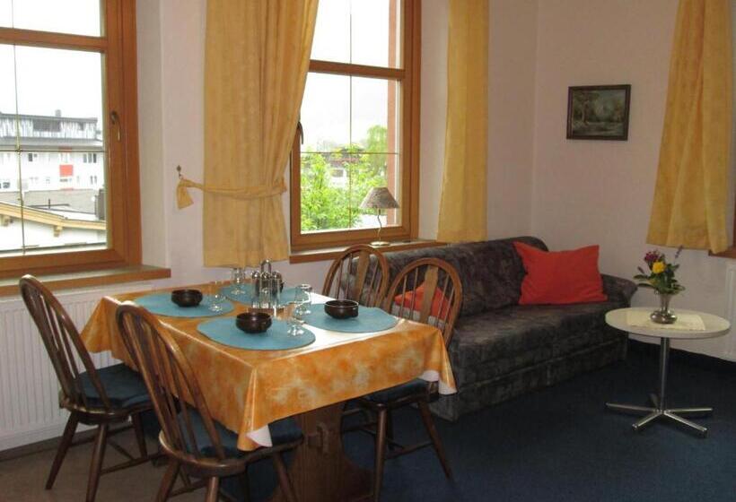 Апартаменты 1 Спальня, Pension Florian Am Park