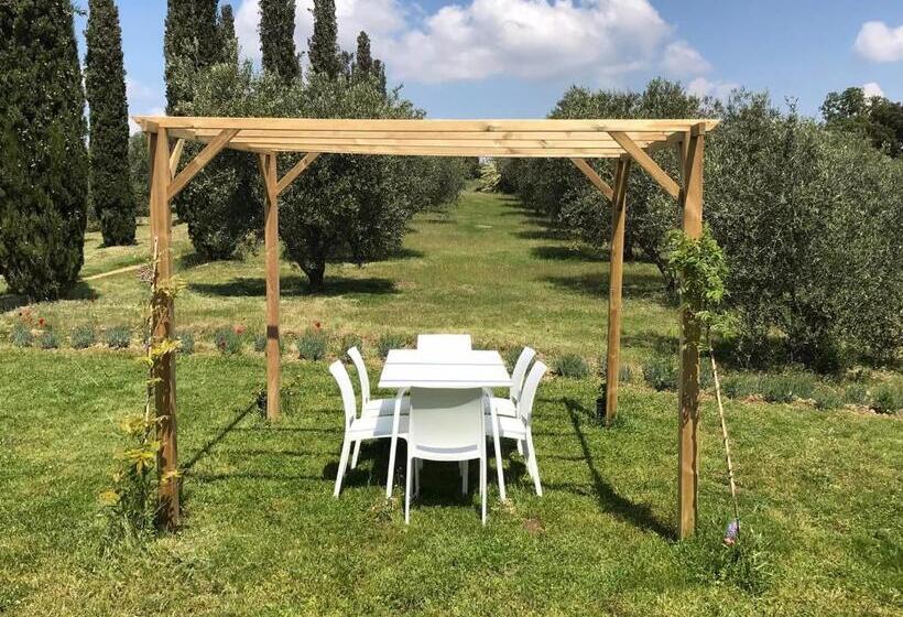 Дом 1 Спальня, Tenuta Le Mandorlaie, Agriturismo In Scansano