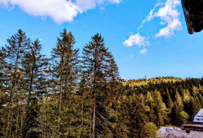 Люкс Вид на Горы, Burg Hotel Feldberg