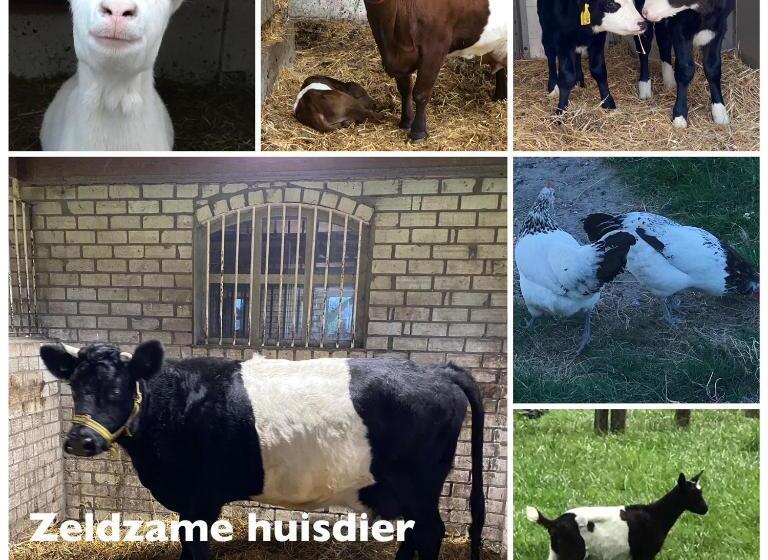 스탠다드 스튜디오, Herberg Boerderij De Straat Hof