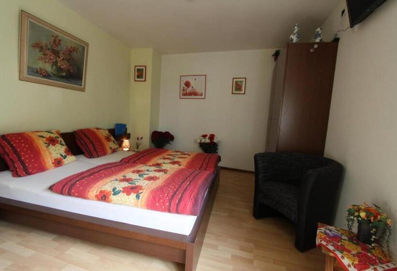 Номер Стандарт, B&b Briedel