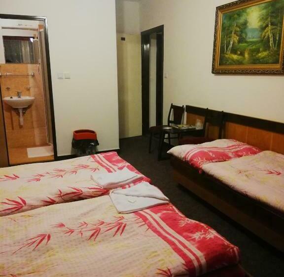 이코노미 트리플 룸, Abc Hotel Nitra
