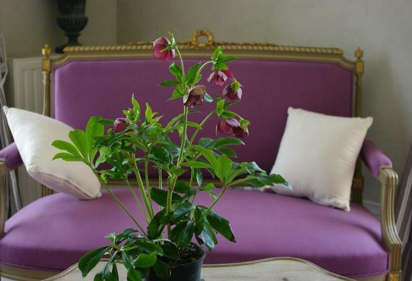 バスタブ付きデラックスルーム, Chateau De Pommeuse