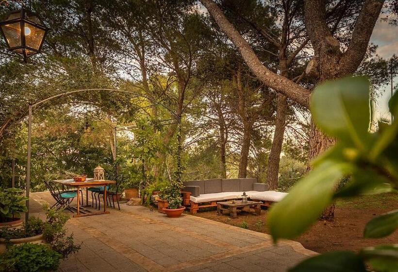 Номер Стандарт с Террасой, Villa Maria Affittacamere