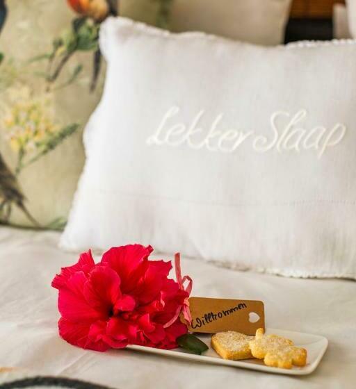 آپارتمان 1 خوابه با چشم‌انداز باغ, Khashamongo B & B