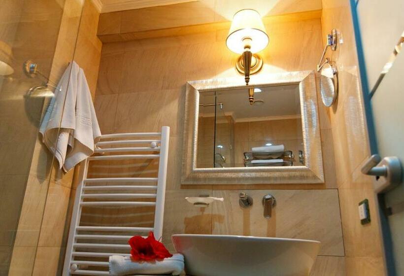 Апартаменты Superior 1 Спальня, Roman By Dumbrava Business Resort