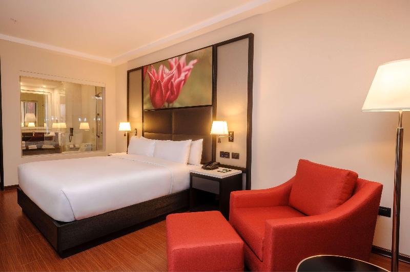 스탠다드 룸 킹사이즈 침대, Hilton Garden Inn Lima Surco, Peru